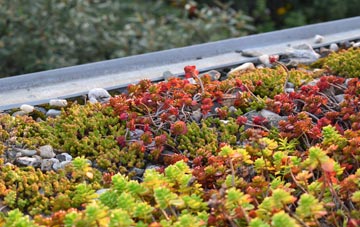 the cost of Woodgates End green roof installation