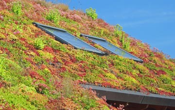 Woodgates End living roof systems